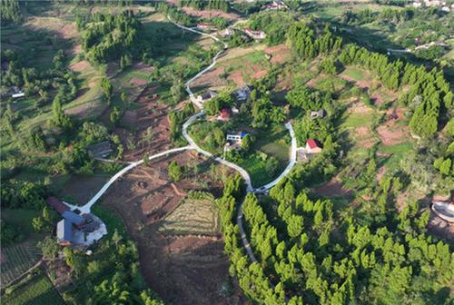 东兴区：农基项目建设忙