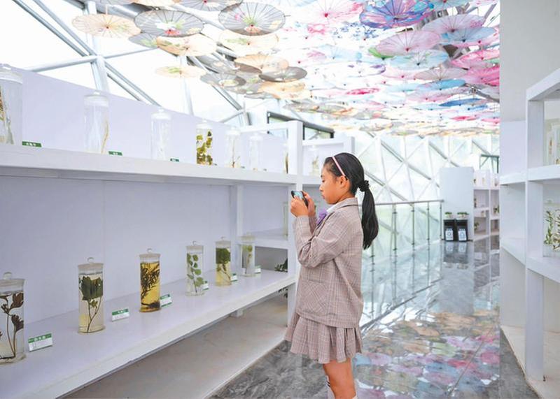 到昭化药博园 赴一场生态康养之旅