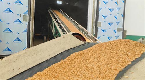 青神县：智能粮仓守好粮