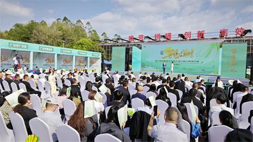 兼具艺术性与“乡土气”  广安乡村文化秀出“新花样”