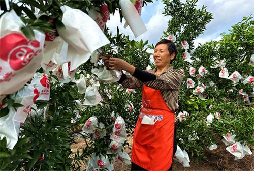 仁寿县：创新“三变模式” 催生集体经济发展壮大