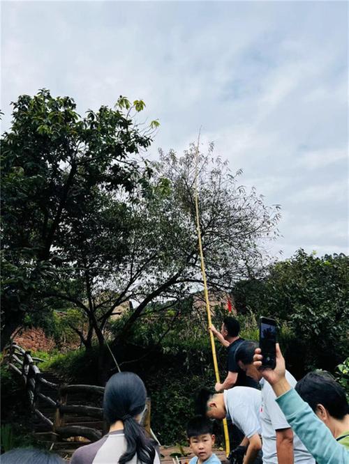 丹棱县：活力释放，文旅市场掀热潮