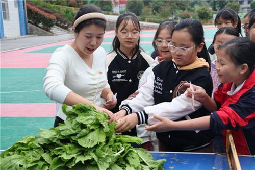 南江县长赤镇桥梁小学开展劳动实践活动