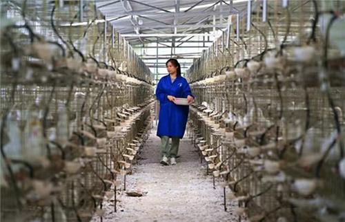 仁寿县：一场向“美”而行的精彩蝶变