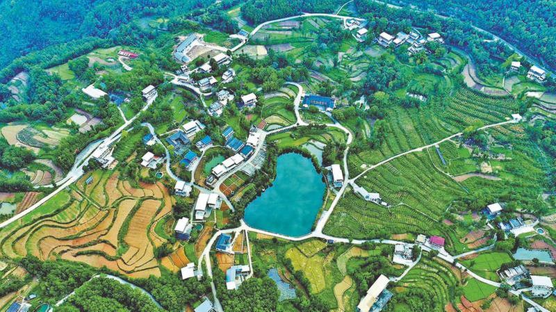 特色产业助力振兴