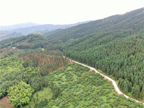 洪雅县：建设“森林四库” 在青山绿水间蓄发展之“能”