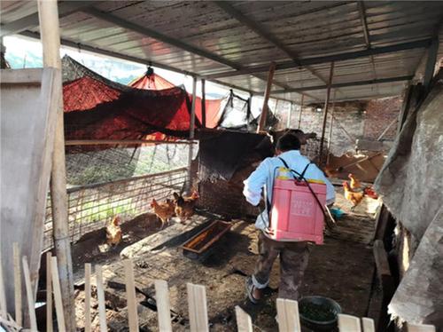 广安经开区奎阁街道开展2024年秋季动物防疫工作