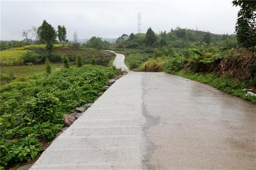 广安区：以工代赈 “赈”出综合效益