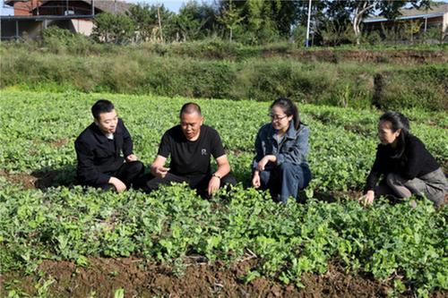 广安区：走基层解难题  助力乡村产业振兴
