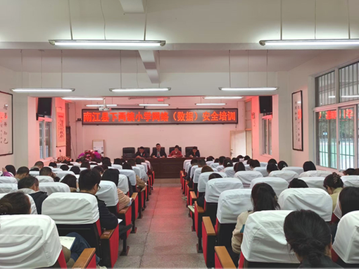 南江县下两镇小学开展网络数据安全培训