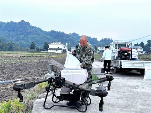 洪雅县：小麦秋播正当时