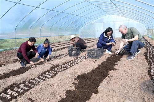 广安市：乡村振兴走基层 换位体验当农民