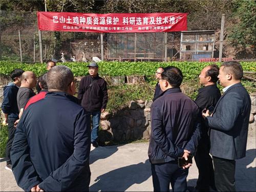 四川农业大学教授刘益平团队赴南江县调研指导