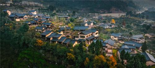 丹棱县：橘林深处的“诗”与“远方”