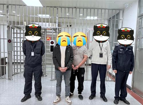 眉山天府公安速破“全副武装”行窃案