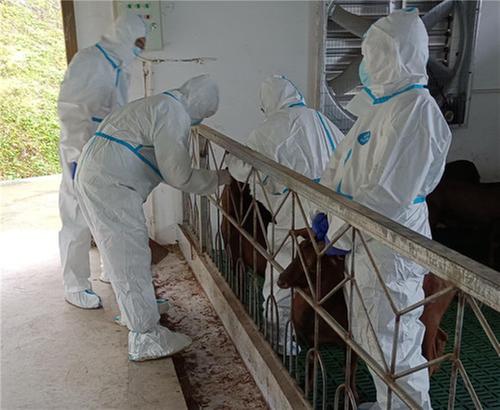 中国农业科学院哈尔滨兽医研究所到南江县调研指导