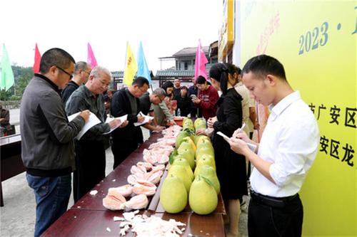 安逸走四川   广安“柚”相见