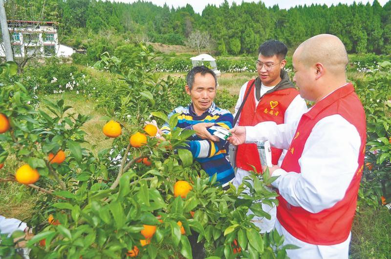 农忙巡诊保健康