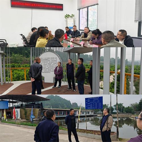 资阳市科协到乐至县调研天府科技云助力乡村振兴工作