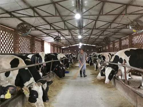 青神：找准产业赛道  乡村振兴“加速跑”