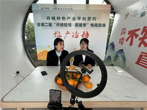 电商助力爱媛销售 数字赋能产业发展