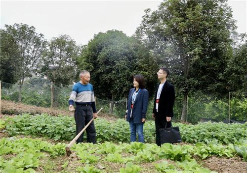 岳池县：“马蜂”勿扰  急难愁盼“我”来办