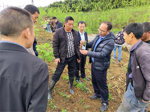 同心筑梦  乐职助力乡村振兴