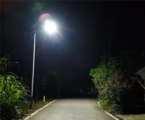 眉山洪雅：“路灯照明”扮靓乡村“幸福路”