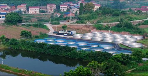  别划走！点开查看一条白乌鱼的自述