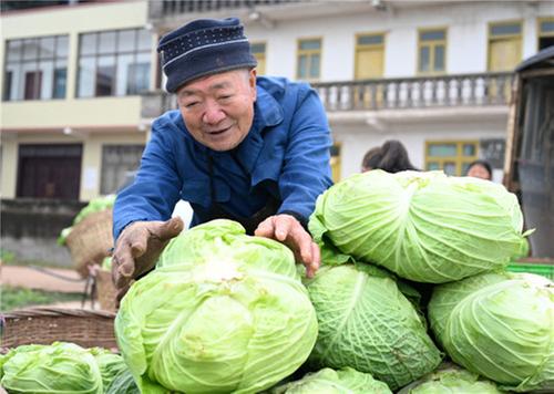 内江东兴区：“绿色银行”促增收