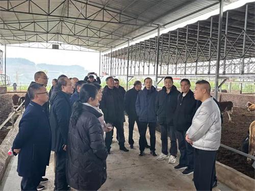 内荣合作 科技赋能！助推内江市牛羊产业高质量发展