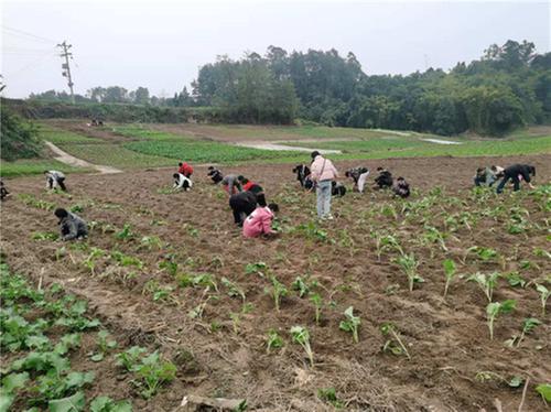 石盘镇开展“小手拉大手  共筑美丽河湖”课外实践活动