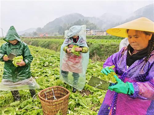 邻水县：以产业兴盛为帆 扬就业繁荣之舟