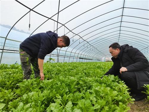 邻水县：创业指导春风化雨 乡村振兴动能强劲