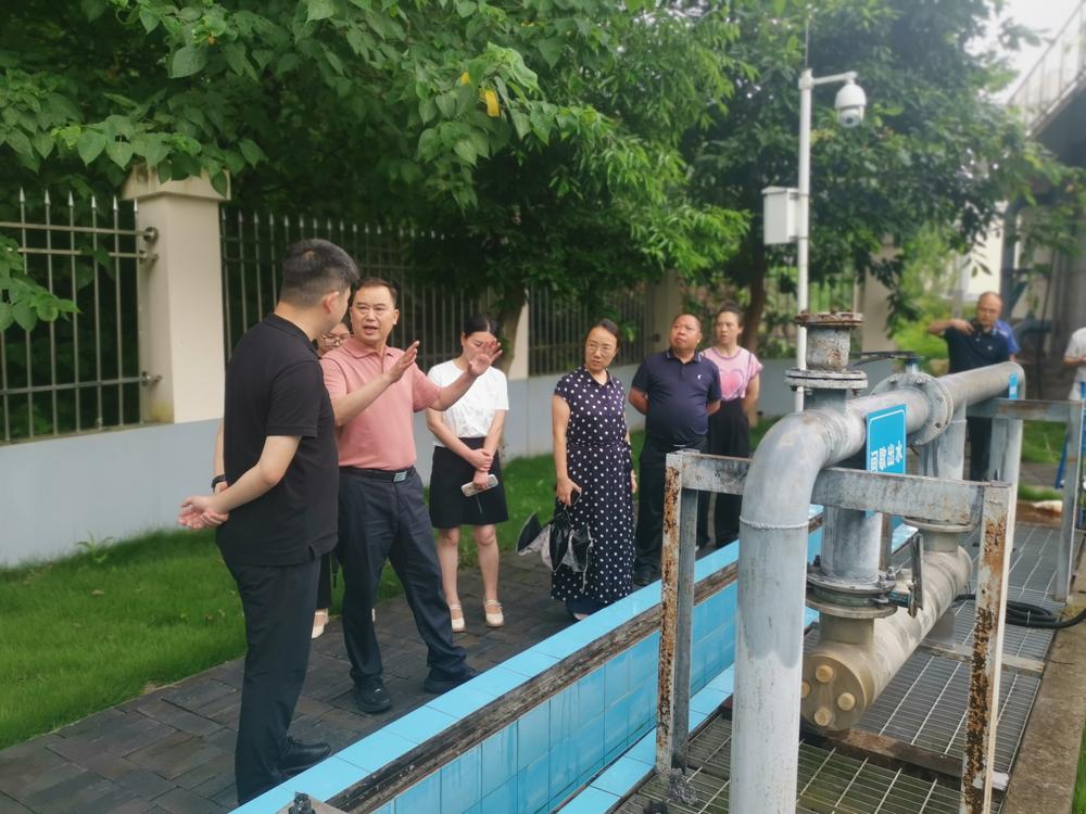 东兴区人大三色共绘 勾勒人水和谐新画卷