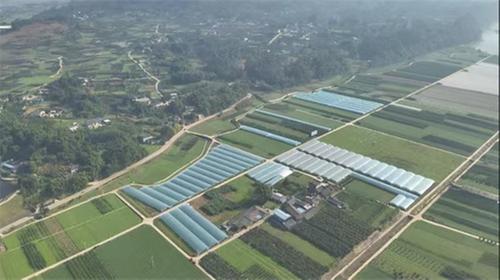 青神小三峡村：有“颜”，也有“值”