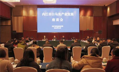 凝聚各方力量 共绘发展蓝图！内江市白乌鱼产业发展座谈会在市中区顺利召开
