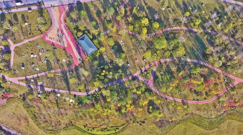 闲置地变公园 市民乐享“绿色空间”