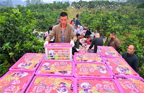  仁寿：畅通供销渠道 让“好产品”不愁销