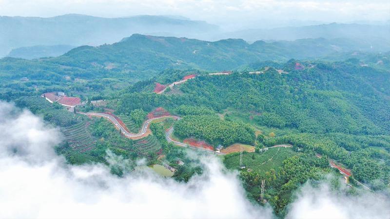 “路衍经济”助力乡村振兴