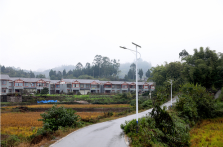 广安区4万余盏惠民路灯照亮村民安全回家路