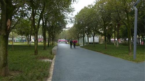 青神：打造“会呼吸”的海绵城市