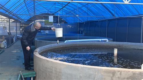 授人以渔 共翻“致富浪”