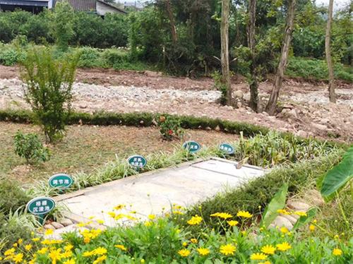 四川丹棱：“厕污共治”焕新乡村“颜值”