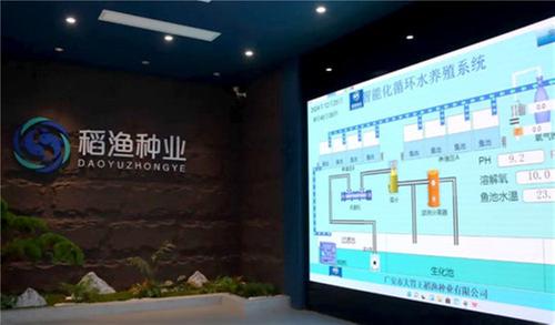 会养鱼 更要“慧”养鱼