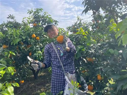 青神县白果乡：业兴民富谱新篇