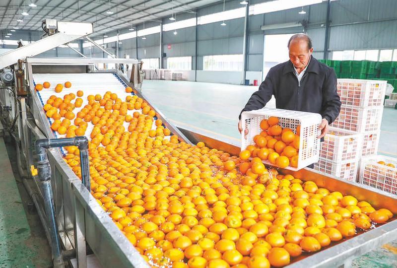 绘就乡村好“丰”景