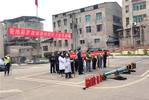 岳池县罗渡镇开展2025年森林防火应急演练