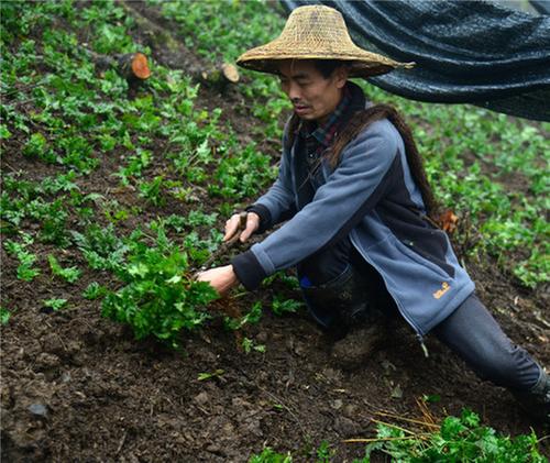 眉山洪雅：新增省级非物质文化遗产代表性传承人4名