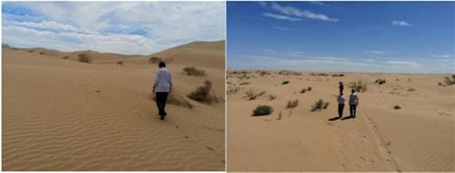 ‌沙漠变良田不再是梦，健全环境集团成都宣讲沙漠治理新方案